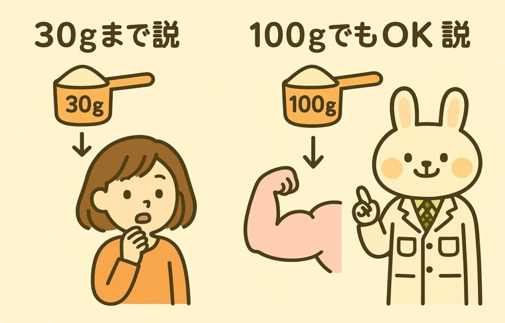 1回30gまでしか使われない」という旧説と、「100gでもしっかり使われる」という最新研究を比較したイラスト。